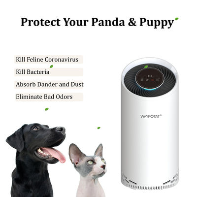 36W Air Purifier Reduce Dust Air Ionizer Machine For Pet Store Pet Odors