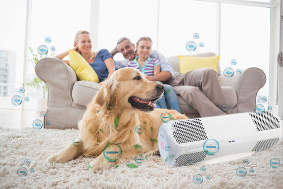 ABS Air Disinfector with Private Mold Kills H1N1 Flu Viruses Bacteria Fungi OEM/ODM