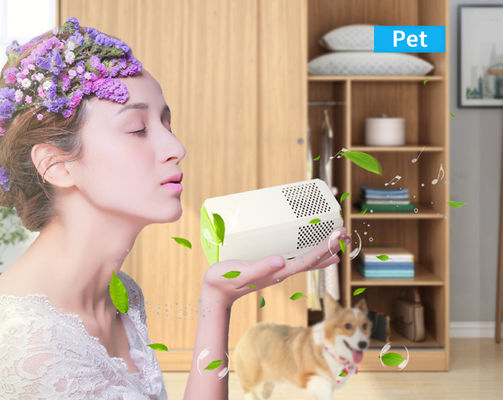 Small Room Toilet Kitchen Air Purifier Perfect for Removing Allergens Pollen and Odors