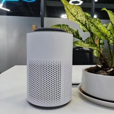 6W Plasma Air Purifier for 10M² Rooms ≤55dB Noise