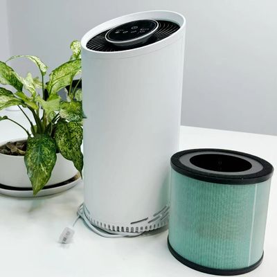 2.5 KG Cold Plasma HEPA Filter Air Purifier With 12-Hour Timer