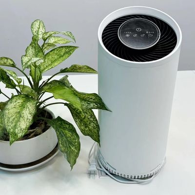 HEPA Cold Plasma Air Purifier with Activated Carbon Filter 36W Max Power 220V Voltage