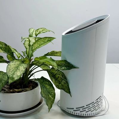 Quiet Night Light HEPA Air Purifier with Touch Control and Sleep Mode