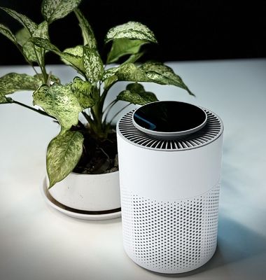 Touch Control Plasma Air Sterilizer with HEPA Isolate Second-Hand Fireworks Particles