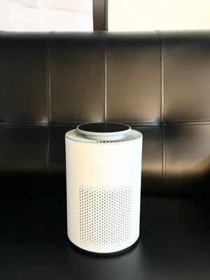 Breathe Healthily HC10 HEPA Filtration System Portable with Quiet Operation