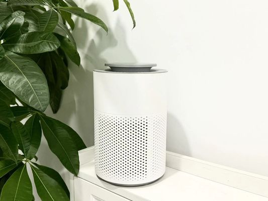 HC10 Portable Air Cleaner for Tobacco Smoke with Quiet Operation and Low Power Consumption