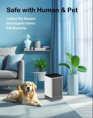 4.2kgs Air Disinfection Purifier Clean and Healthy Air at DC12V Voltage with FCC Certifications