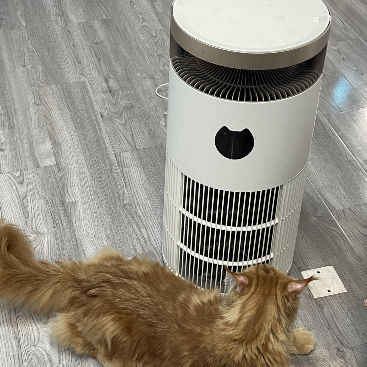 Plasma Air Purifier for Pets with ABS Housing 480 m³/h CADR