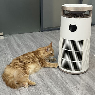 VDETTE HP01 Ozone HEPA Air Purifier with Timer 220V White