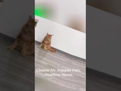 Pet Air Purifier HP01